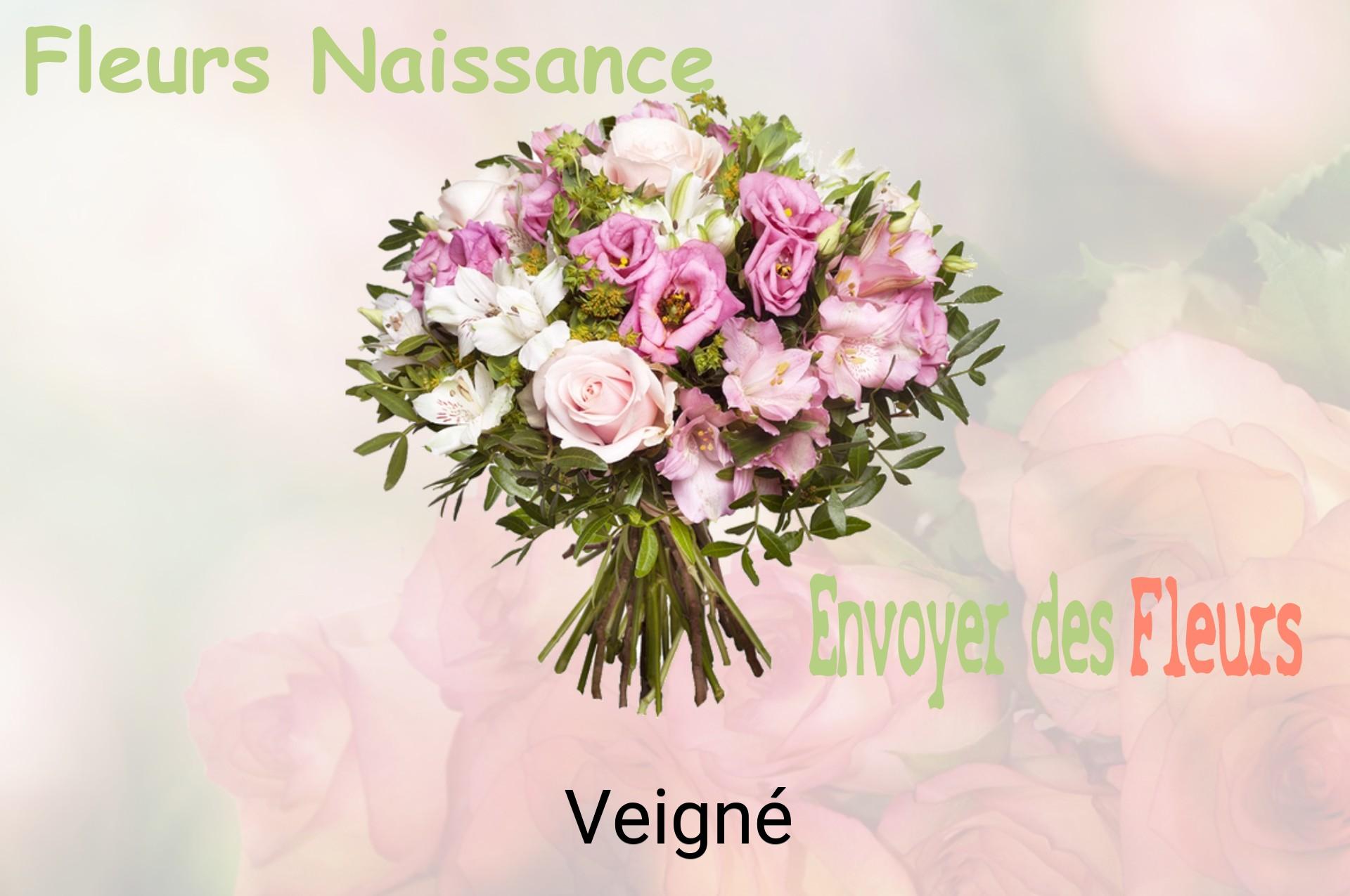 Bouquet de fleurs de naissance livré à Veigné